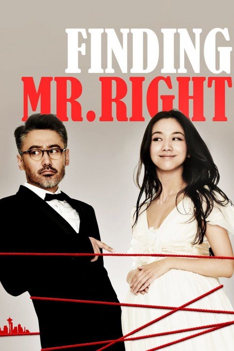 Finding Mr. Right poster