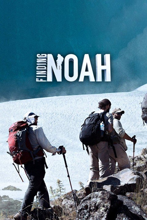 Finding Noah (2015) poster