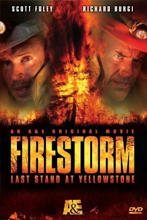 Firestorm La poster