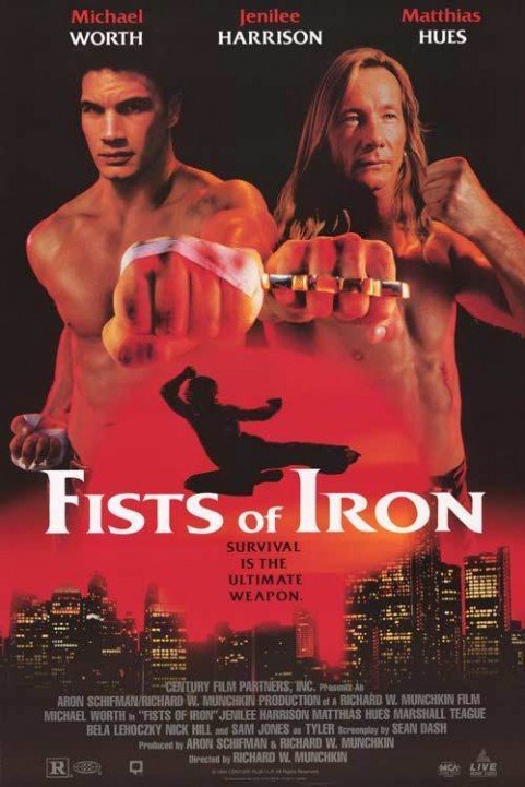 Fists of Iro poster