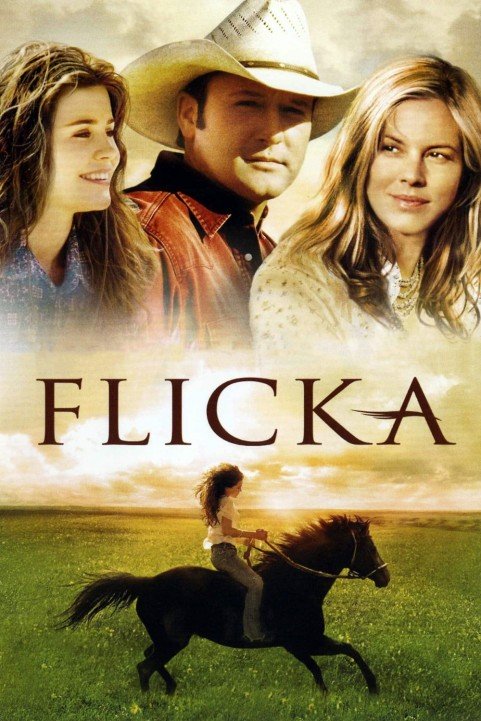 Flicka poster