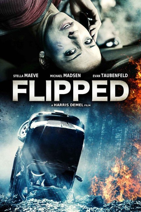 Flipped poster