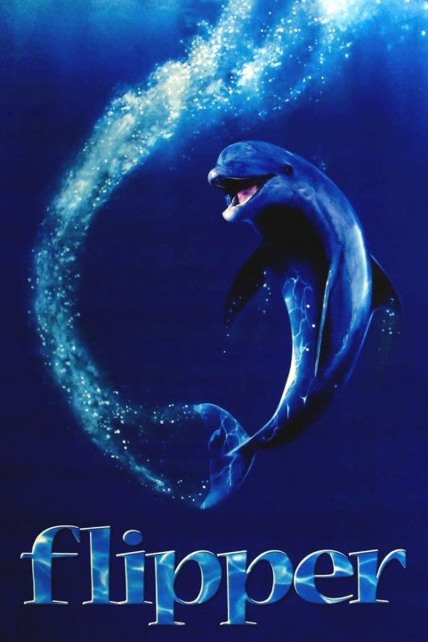 Flipper poster