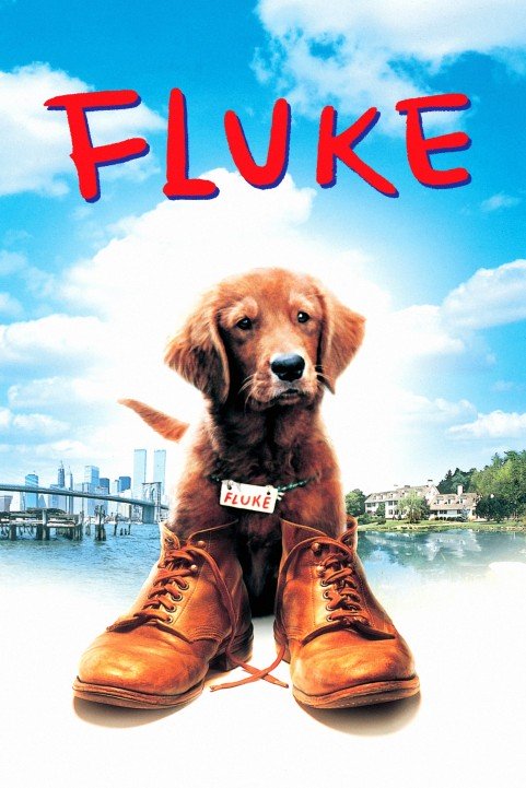 Fluke poster