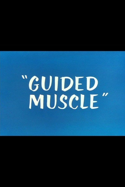 Guided Muscl poster