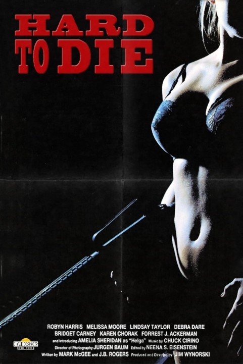 Hard to Die poster