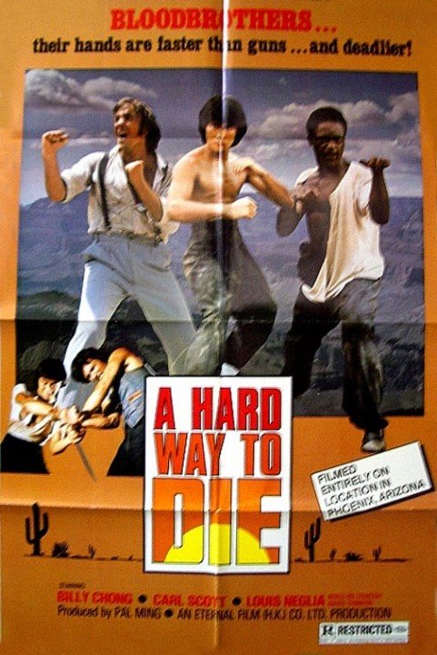 Hard Way to Die poster