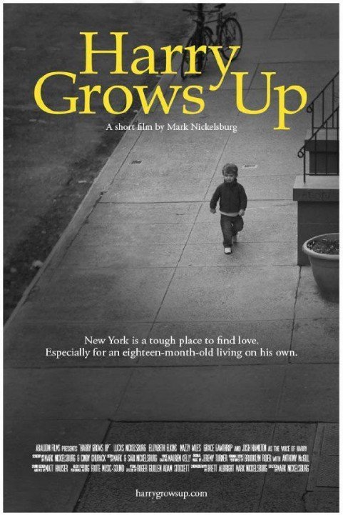 Harry Grows poster