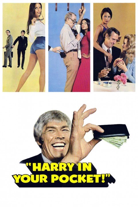 Harry in Your Pocket poster