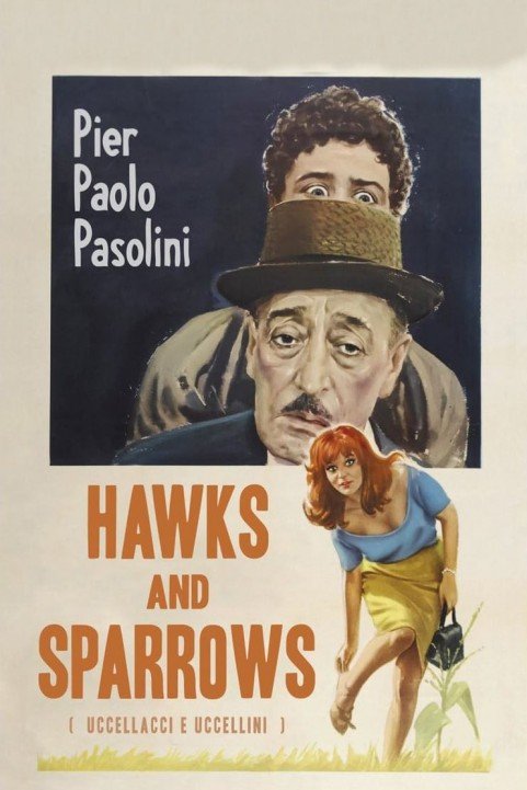 Hawks and Sparrows poster