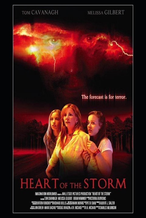 Heart of the Storm poster