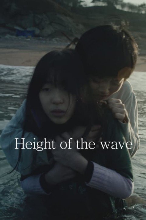 Height of the Wave poster