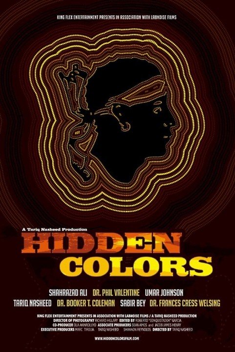 Hidden Color poster