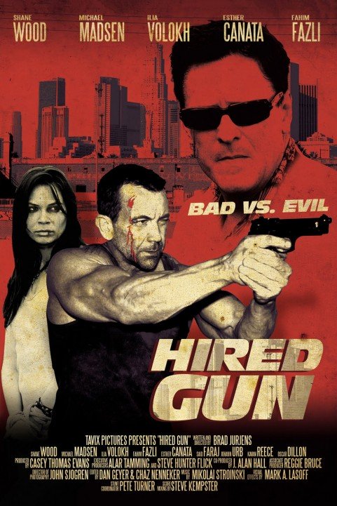 Hired Gun poster