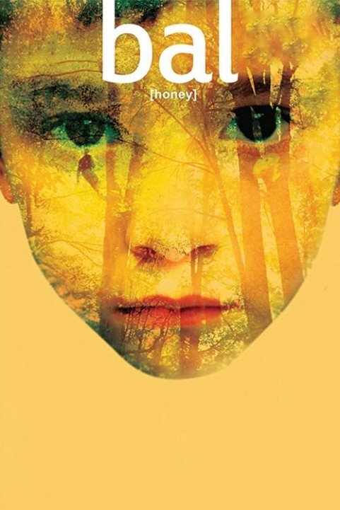 Honey poster