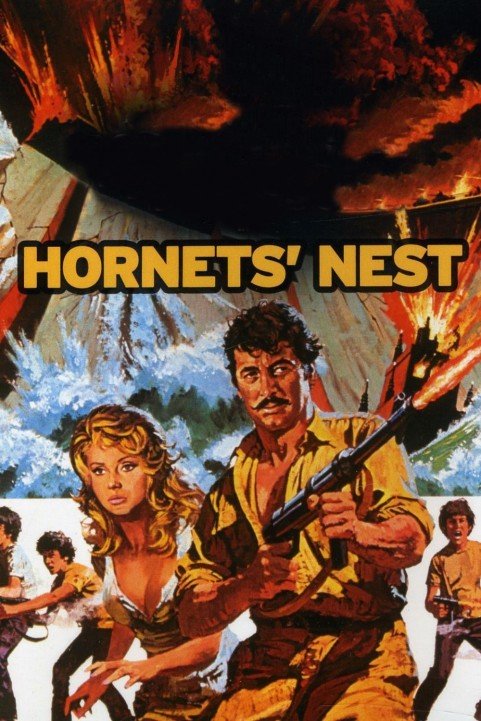 Hornets Nest poster