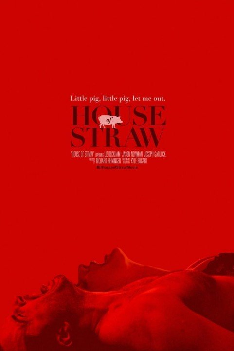 House of Straw poster