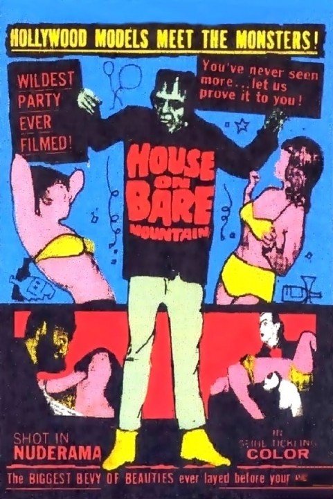 House on Bare Mountain poster