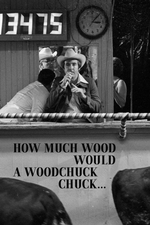 How Much Wood Would a Woodchuck Chuck... (1976) poster