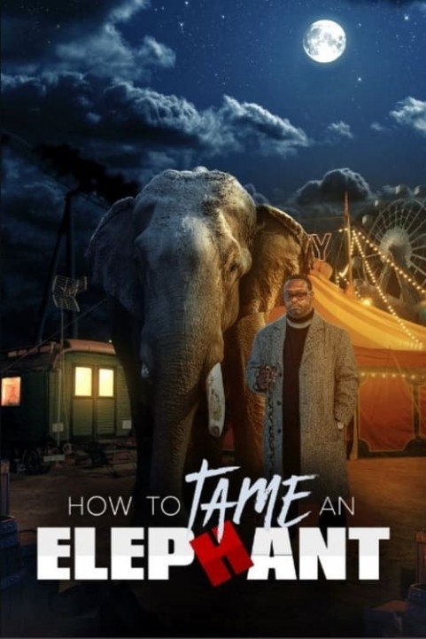 How To Tame An Elephant poster