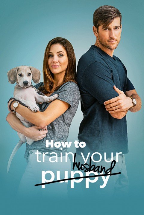 How to Train Your Husband poster