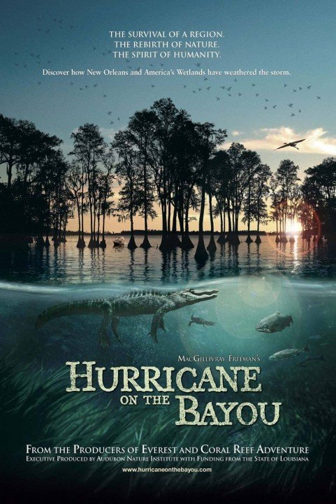 Hurricane on the Bayou poster