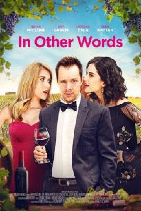 In Other Words poster