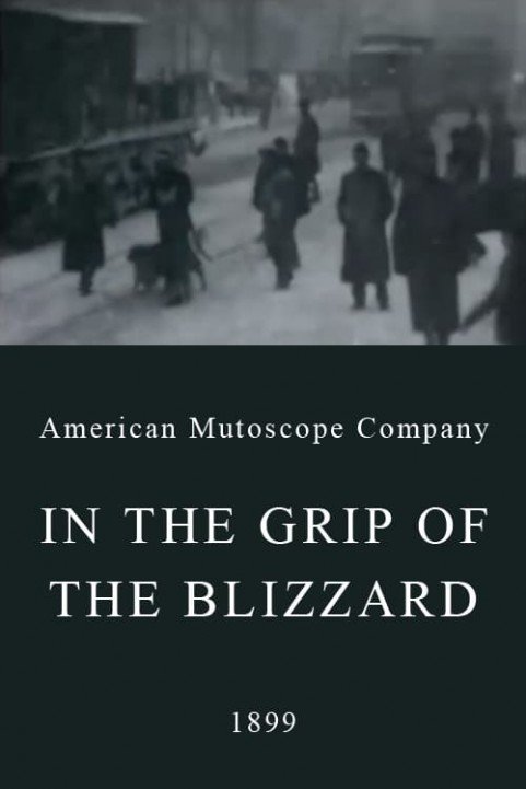 In the Grip of the Blizzard poster