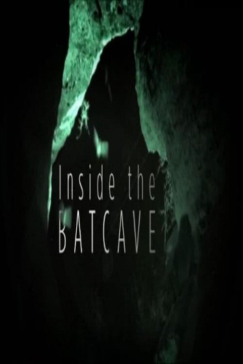 Inside the Bat Cave poster