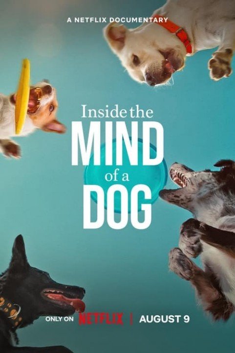 Inside the Mind of a Dog poster