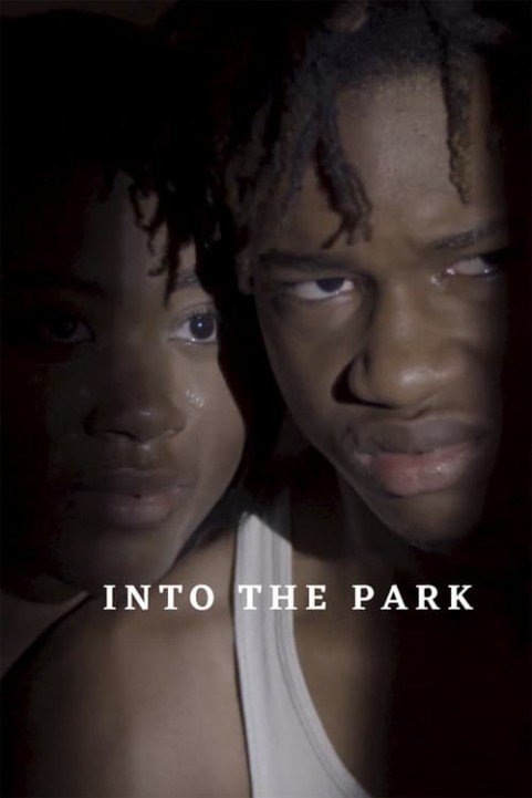 Into the Park poster