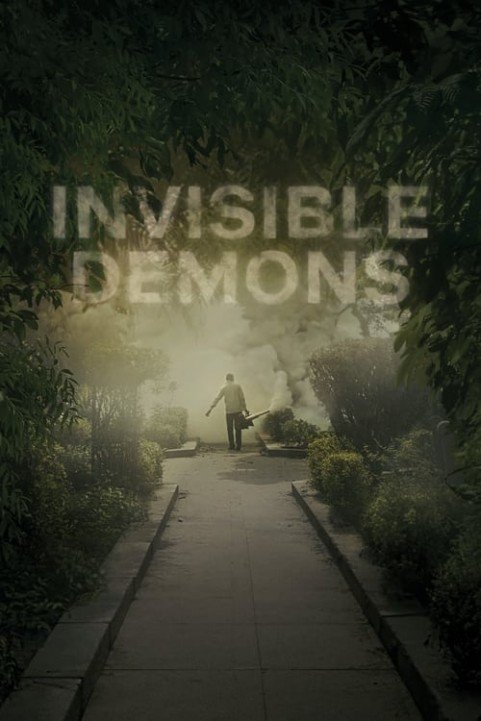 Invisible Demons poster