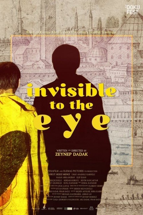 Invisible to the Eye poster