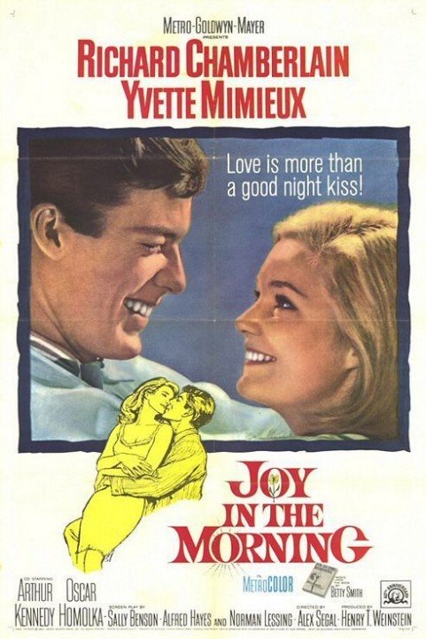 Joy in the Morning poster