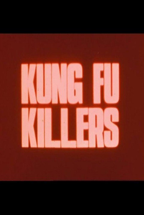 Kung Fu Killers poster