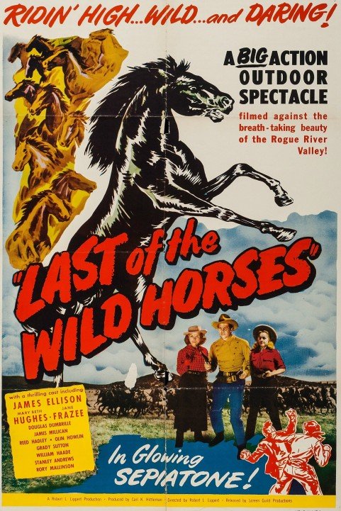 Last of the Wild Horses poster