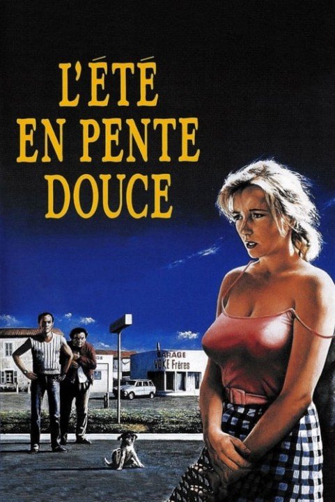 L'Ã©tÃ© en pente douce poster