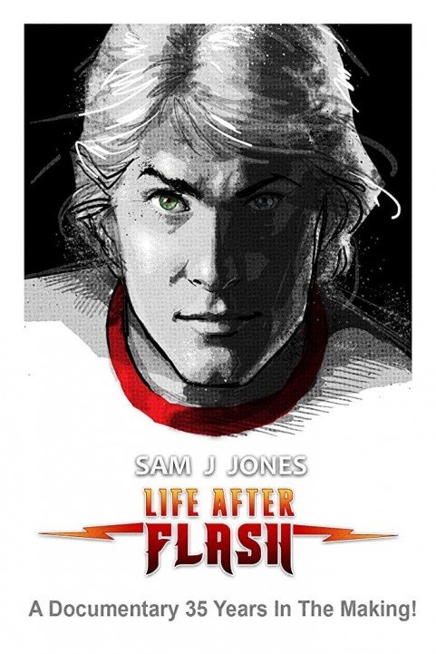 Life After Flash poster