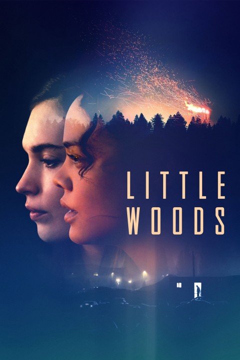 Little Woods poster