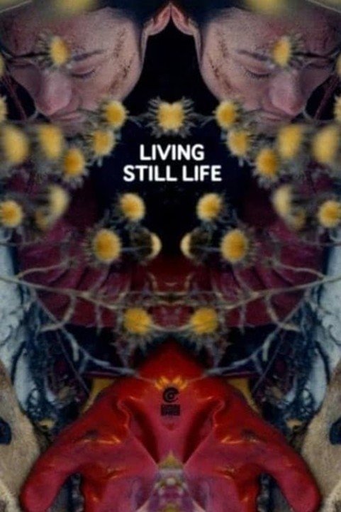 Living Still Life poster