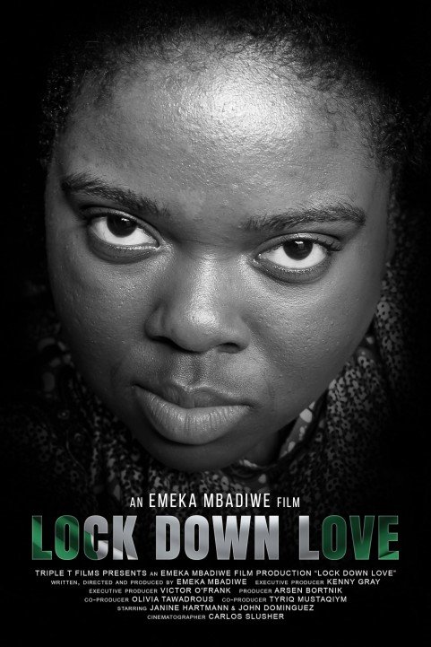 Lock Down Love poster