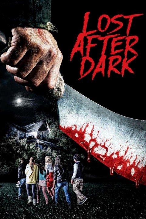 Lost After Dark poster