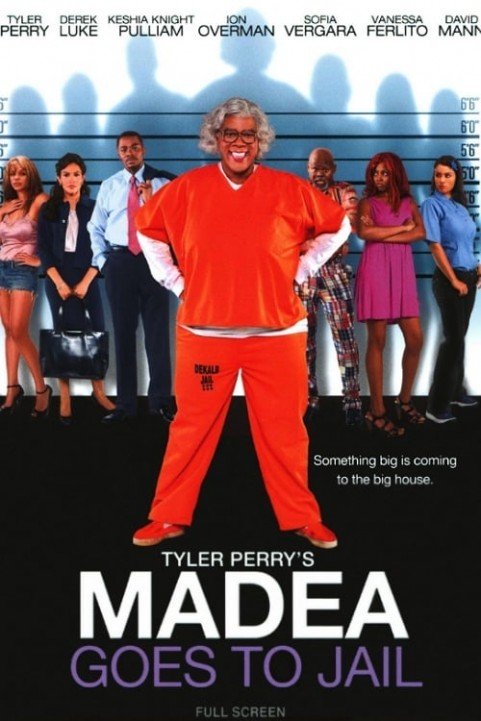 Madea Goes to Jail poster