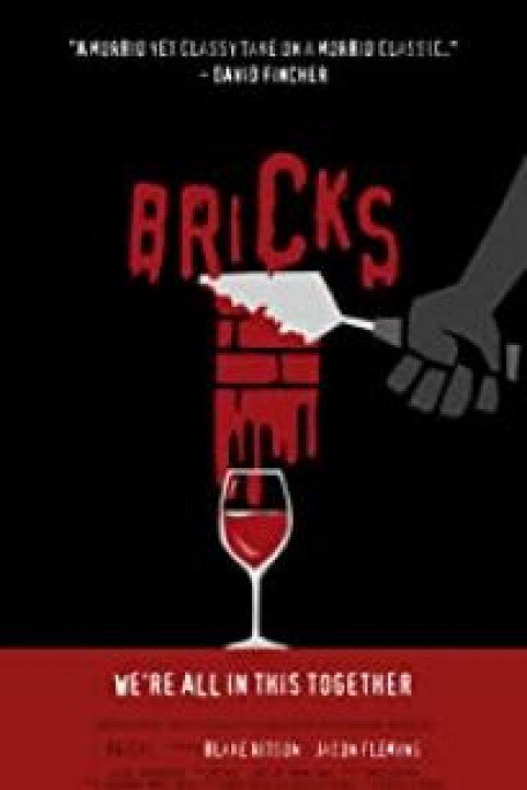 Magic Bricks poster