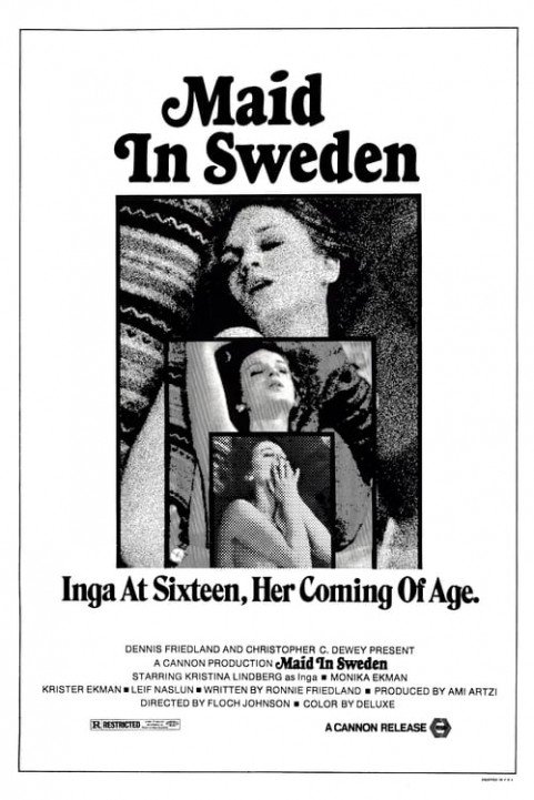 Maid in Sweden poster