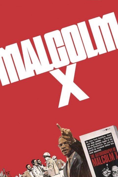 Malcolm X poster