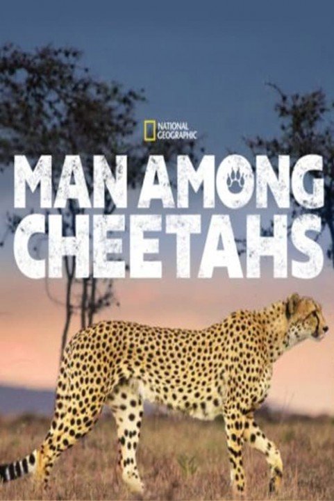 Man Among Cheetahs poster