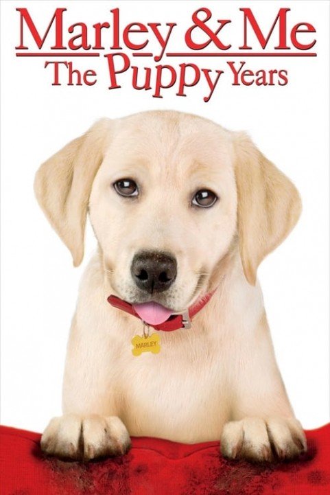 Marley & Me: The Puppy Years poster