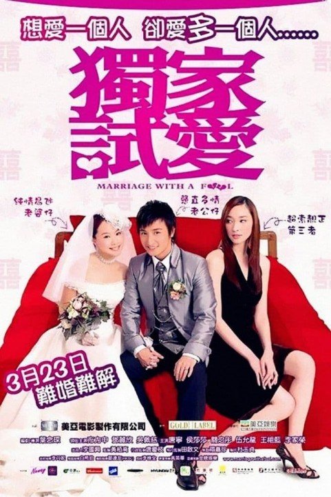 Marriage with a Fool poster