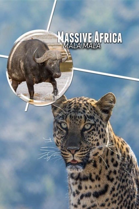 Massive Africa: Mala Mala poster